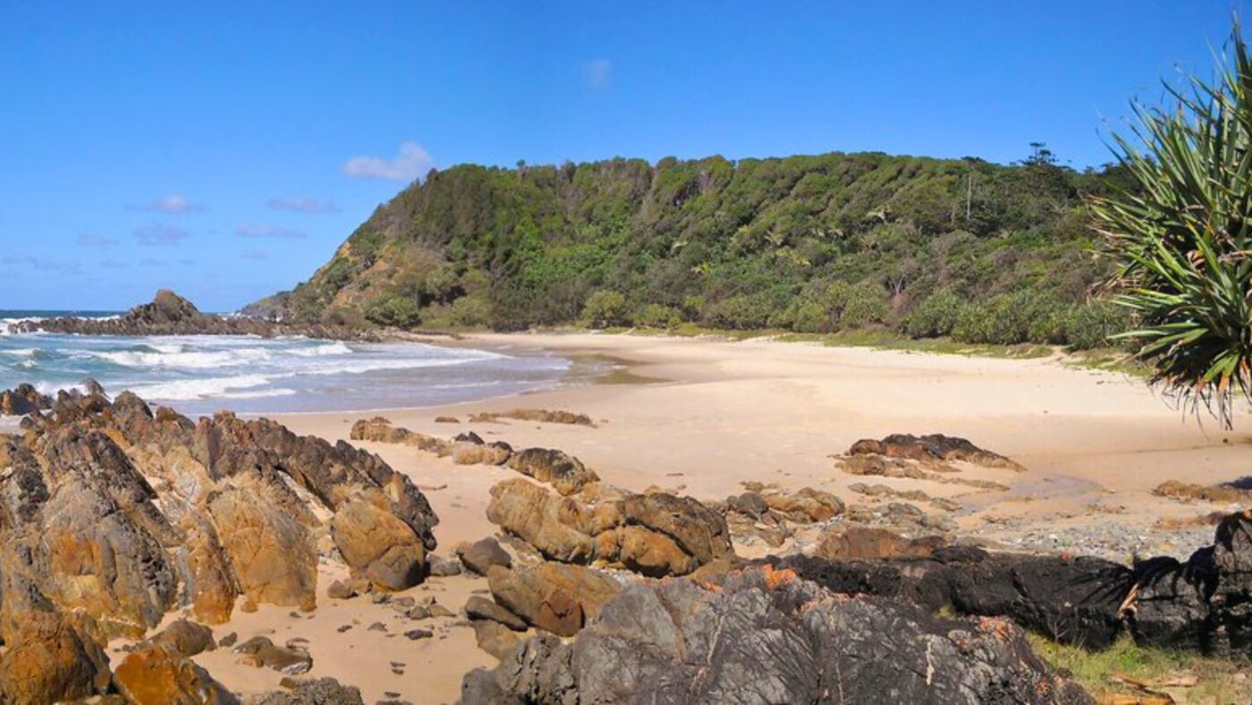 Kings Beach with pandanus